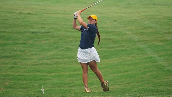 高尔夫球er swings a club on a golf course.